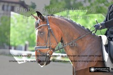 ref. photo 3223160