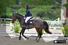 ref. photo 3223198
