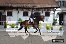 ref. photo 3223223