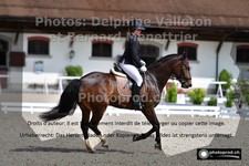 ref. photo 3223232