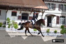 ref. photo 3223235