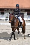 ref. photo 3223239