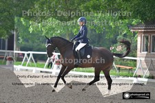 ref. photo 3223253