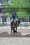 ref. photo 3223256
