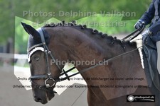 ref. photo 3223271