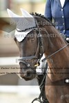 ref. photo 3223315