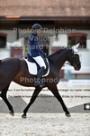 ref. photo 3223316