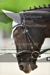 ref. photo 3223337