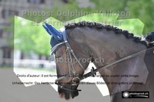 ref. photo 3223410
