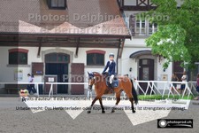 ref. photo 3223496