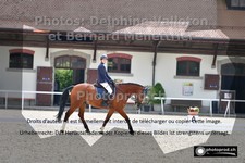 ref. photo 3223504