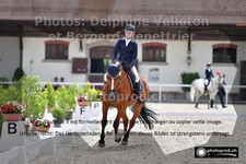 ref. photo 3223517
