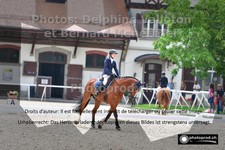 ref. photo 3223521