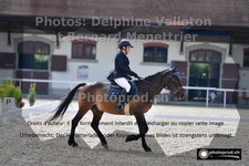 ref. photo 3223622