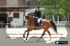 ref. photo 3223684