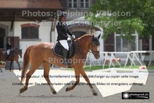 ref. photo 3223709