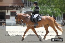 ref. photo 3223710