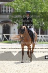 ref. photo 3223711