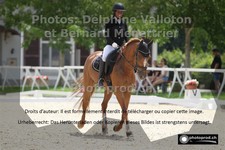 ref. photo 3223717