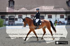ref. photo 3223750