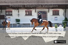 ref. photo 3223751