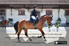 ref. photo 3223752