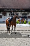 ref. photo 3223795
