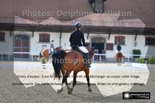 ref. photo 3223814