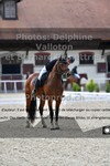 ref. photo 3223824