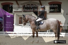 ref. photo 3223921