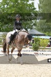 ref. photo 3223924