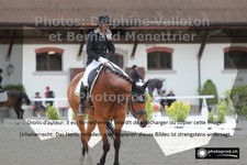 ref. photo 3223976