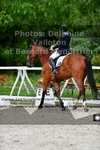 ref. photo 3224004