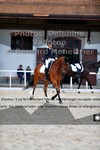 ref. photo 3224007