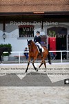 ref. photo 3224012
