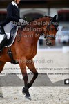 ref. photo 3224016