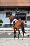 ref. photo 3224018
