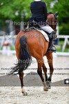 ref. photo 3224024