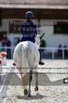 ref. photo 3224135