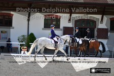 ref. photo 3224137