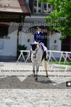 ref. photo 3224139