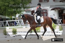 ref. photo 3224173