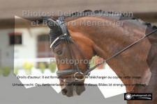 ref. photo 3224179