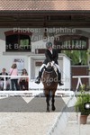 ref. photo 3224185