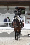 ref. photo 3224190