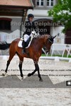 ref. photo 3224202