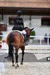 ref. photo 3224213