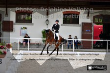 ref. photo 3224239
