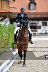 ref. photo 3224311