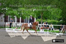 ref. photo 3224344